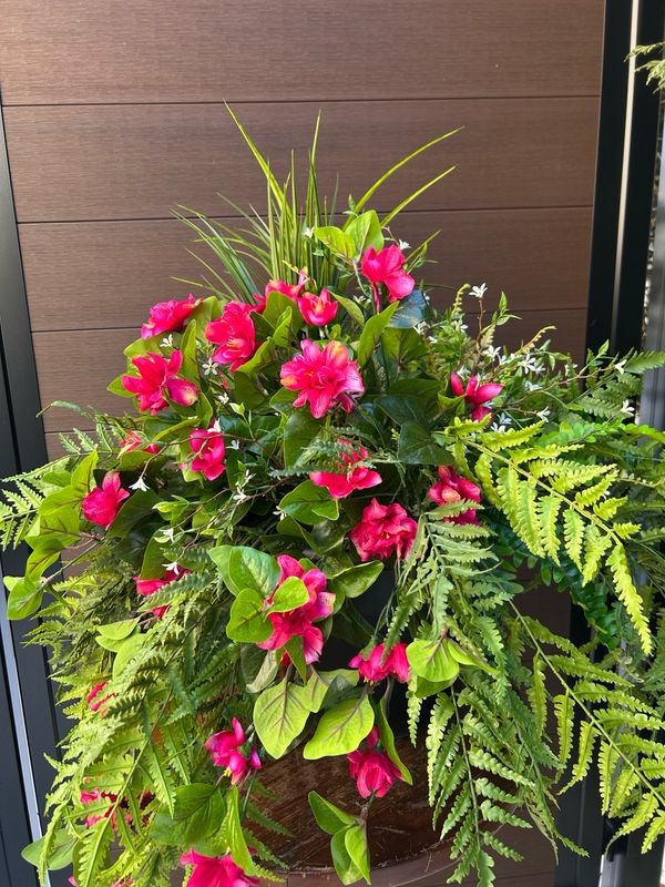 Jardinière pot extérieur fleurs d’azalée fuchsia