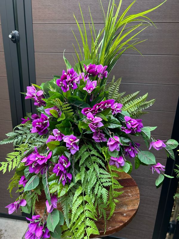 Jardinière extérieure fleurs de bougainvilliers mauves 