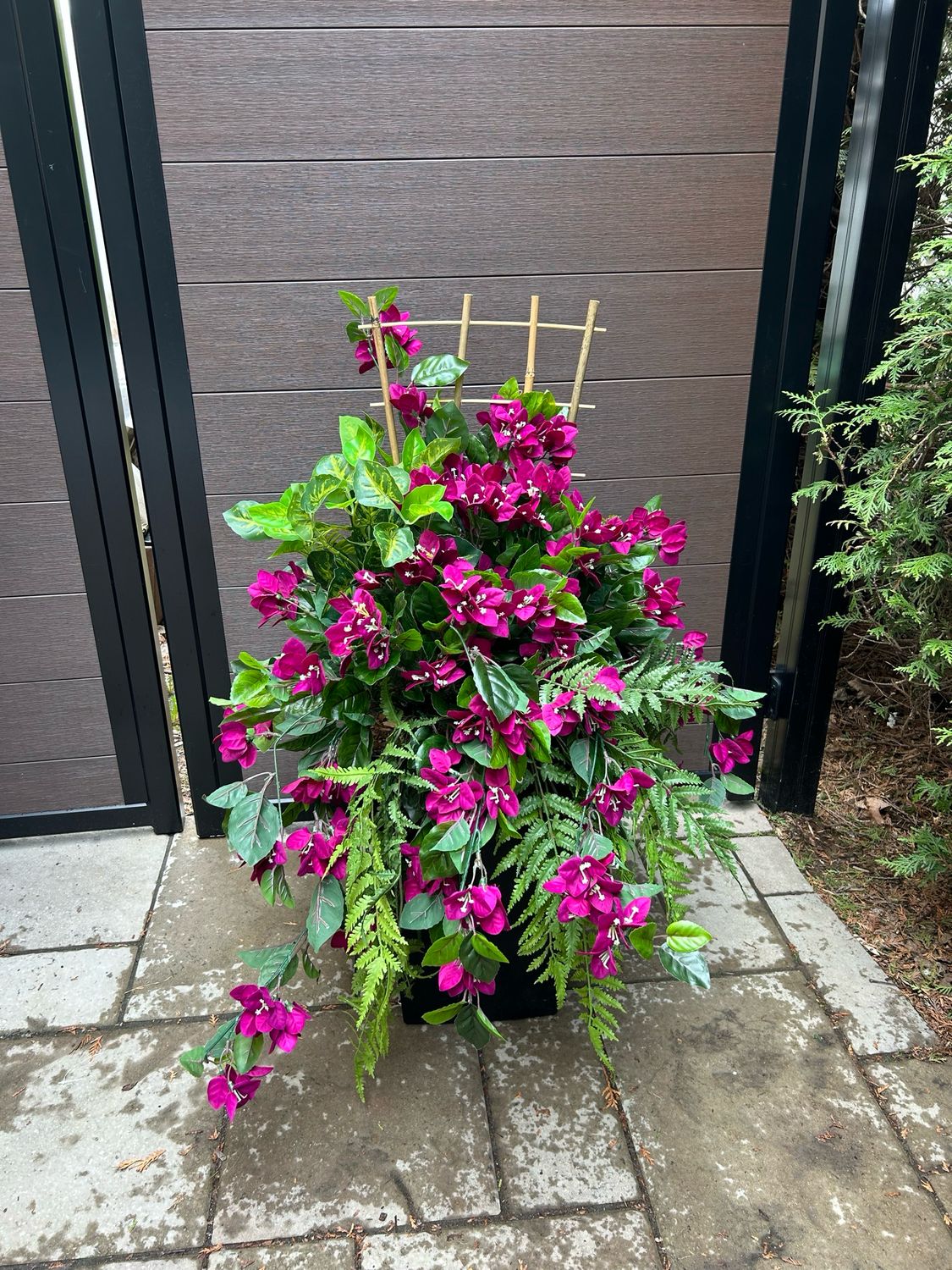 Jardinière pot extérieur fleurs de bougainvilliers mauves 