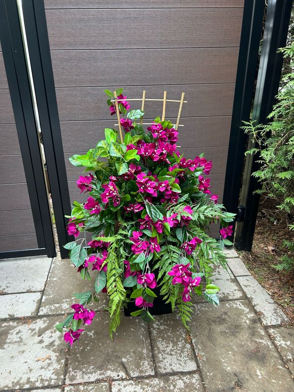 Jardinière pot extérieur fleurs de bougainvilliers mauves 