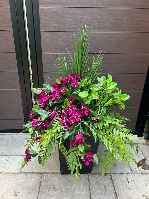 Jardinière de fleurs de bougainvilliers prunes 