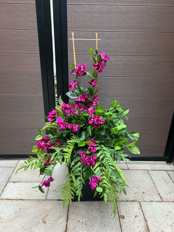 Jardinière de fleurs de bougainvilliers prunes