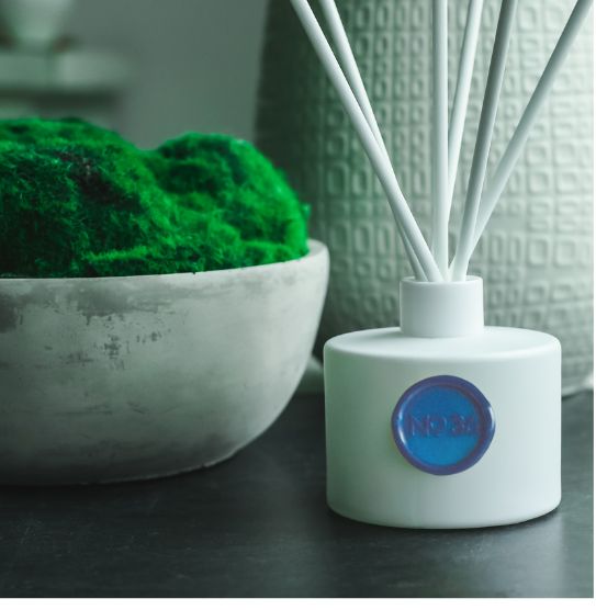 Blue No. 36 Reed Diffuser Set