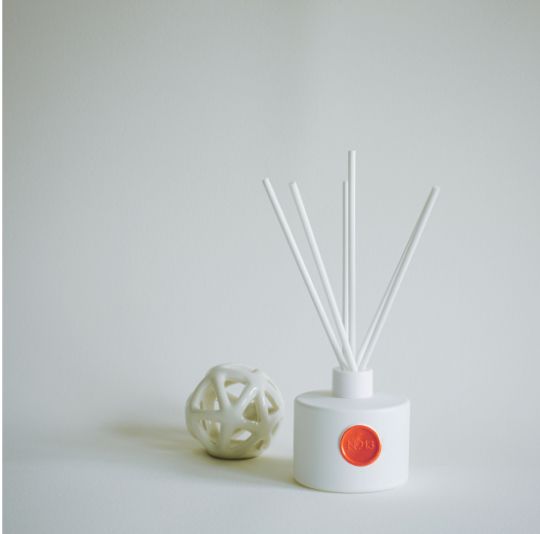 Orange No. 13 Reed Diffuser Set