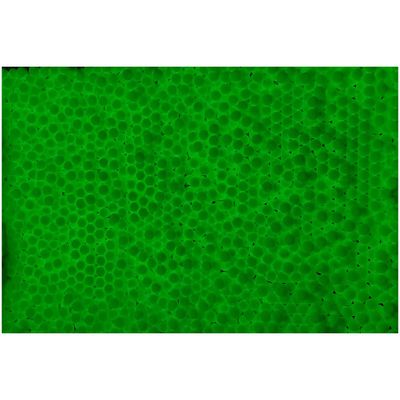 Lancer Tactical Pro Series 0.28g Tracer BBs 4000 Rounds