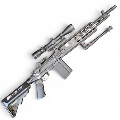 Used Echo1 M14 EBR w/ 2 Magazines & Scope