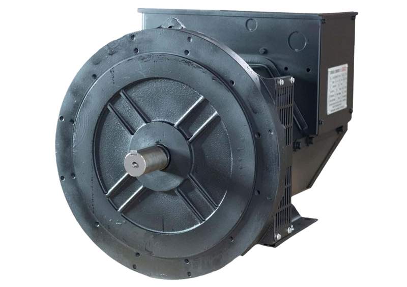CGG 184J 40KW Double Bearing