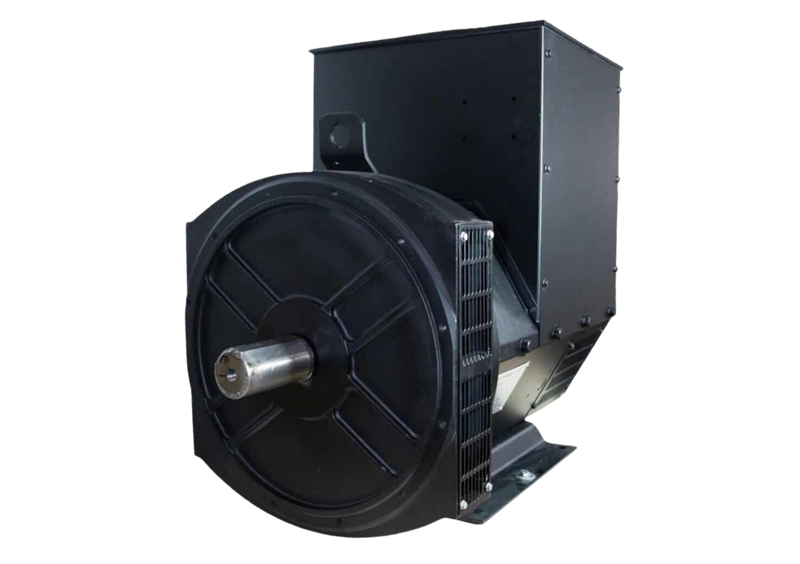 CGG 224E 50KW 1 Phase Double Bearing