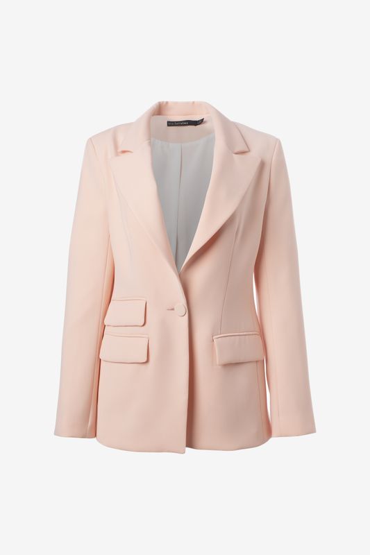 Iris Setlakwe Single Button Blazer