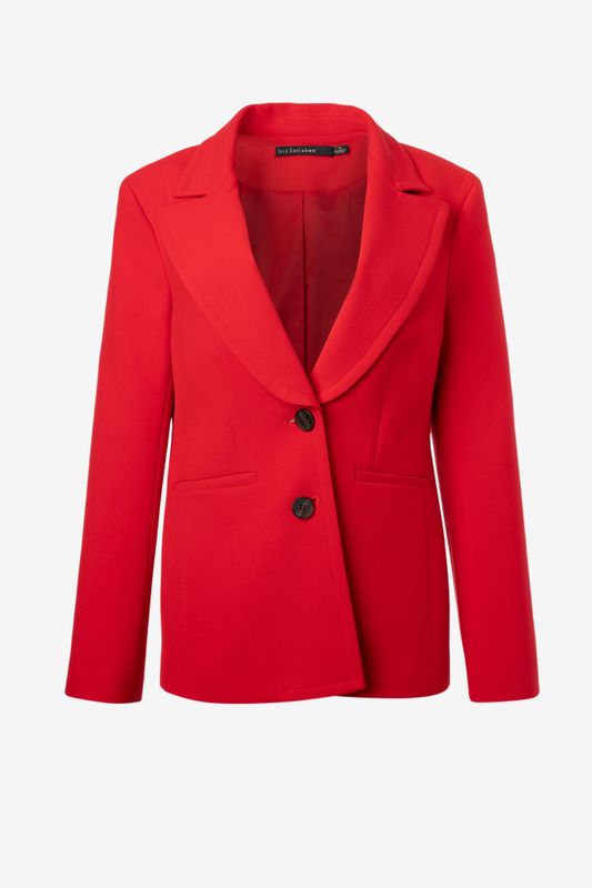 Iris Setlakwe Formal Jacket With Lapel Topstitch