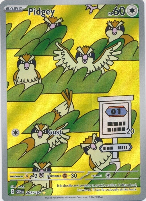 Pidgey - Scarlet &amp; Violet Obsidian flames 207/197