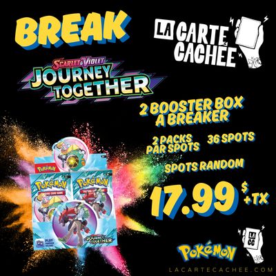 Break Pokemon Journey Together