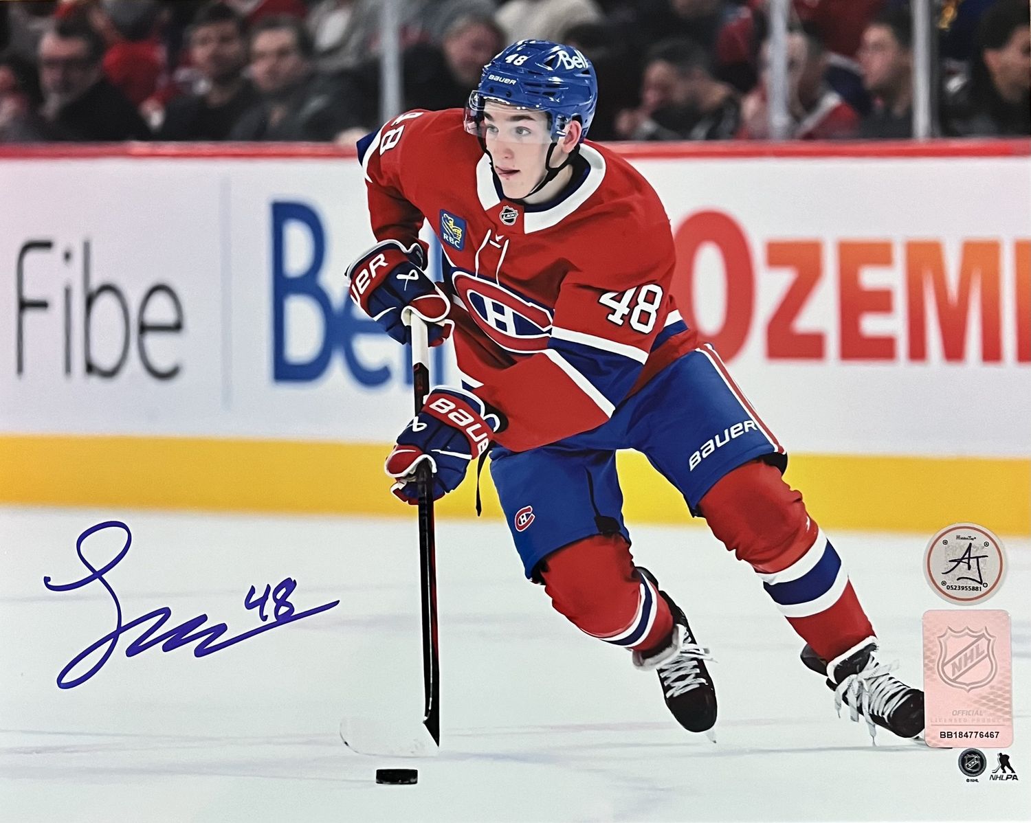 Lane Hutson Affiche/Photographie autographiée