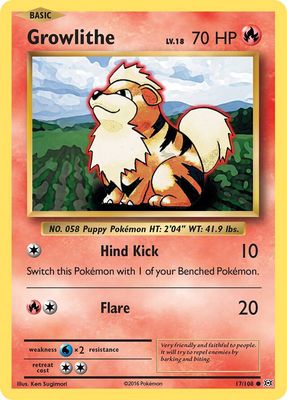 Growlithe - XY Evolutions 17/108