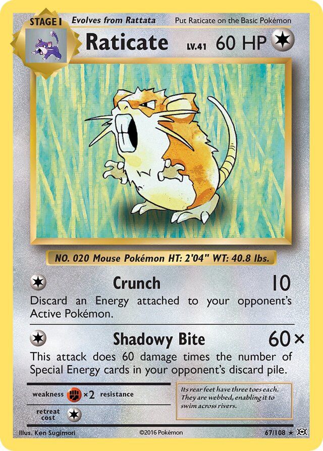 Raticate - XY Evolutions 67/108