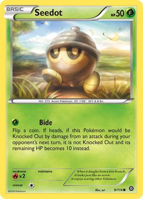 Seedot - XY Steam siege 9/114