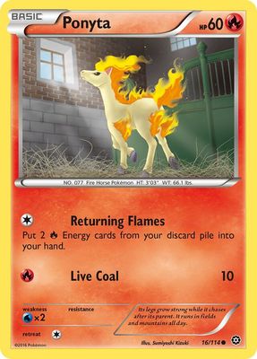 Ponta - XY Steam siege 16/114