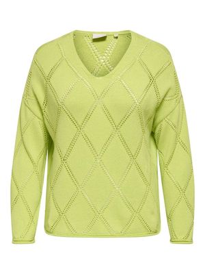 Only Carmakoma cartaylor life ls v-neck knt