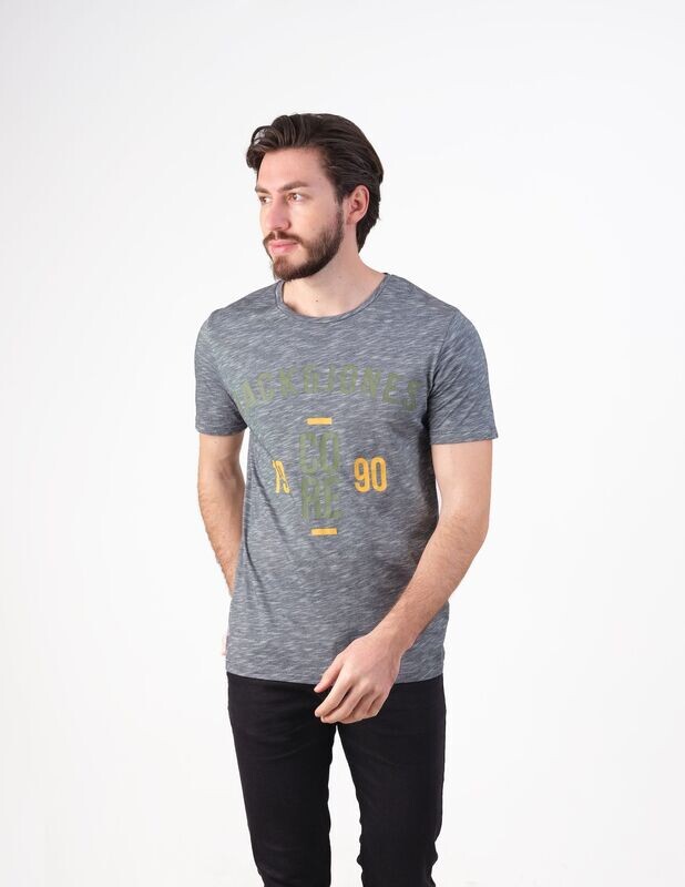Baskı Detaylı Gri Tshirt