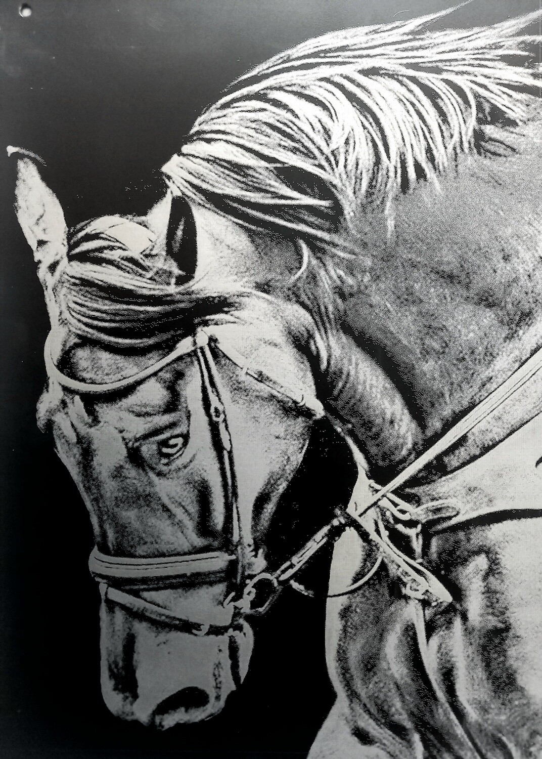 Portrait mit Wunschtext auf Metall 50cm x 30 cm Matt