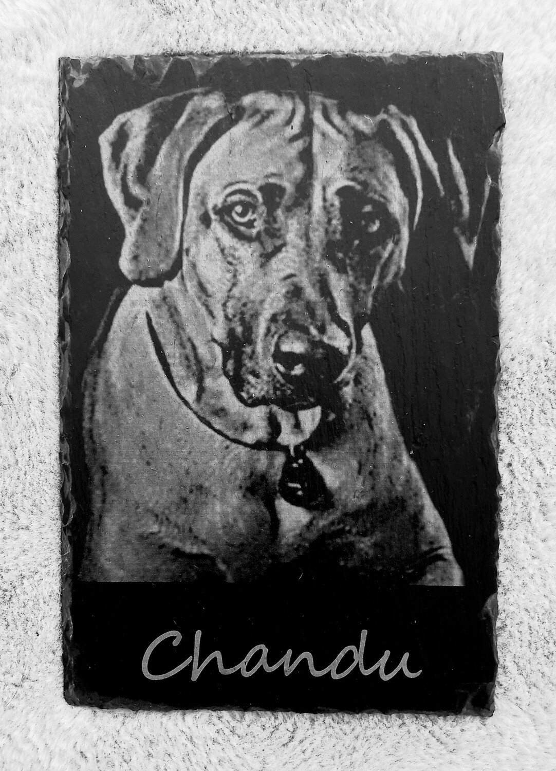 Portrait mit Namen 30cm x 20cm