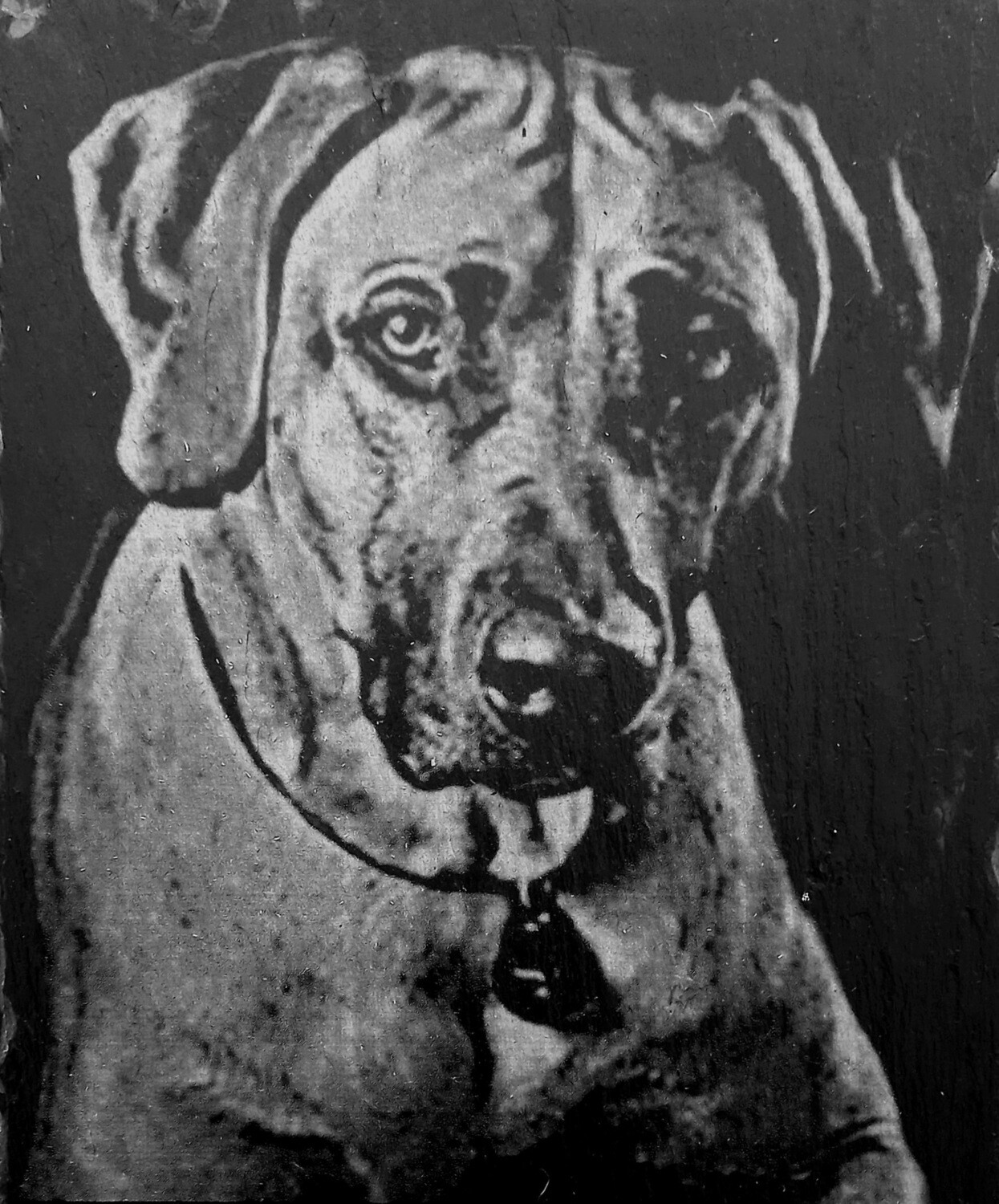 Portrait 40cm x 30cm