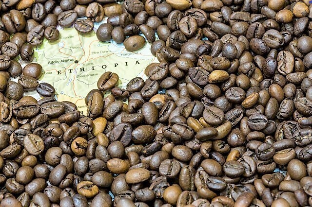 Ethiopian Tore Badiya Grade 1
