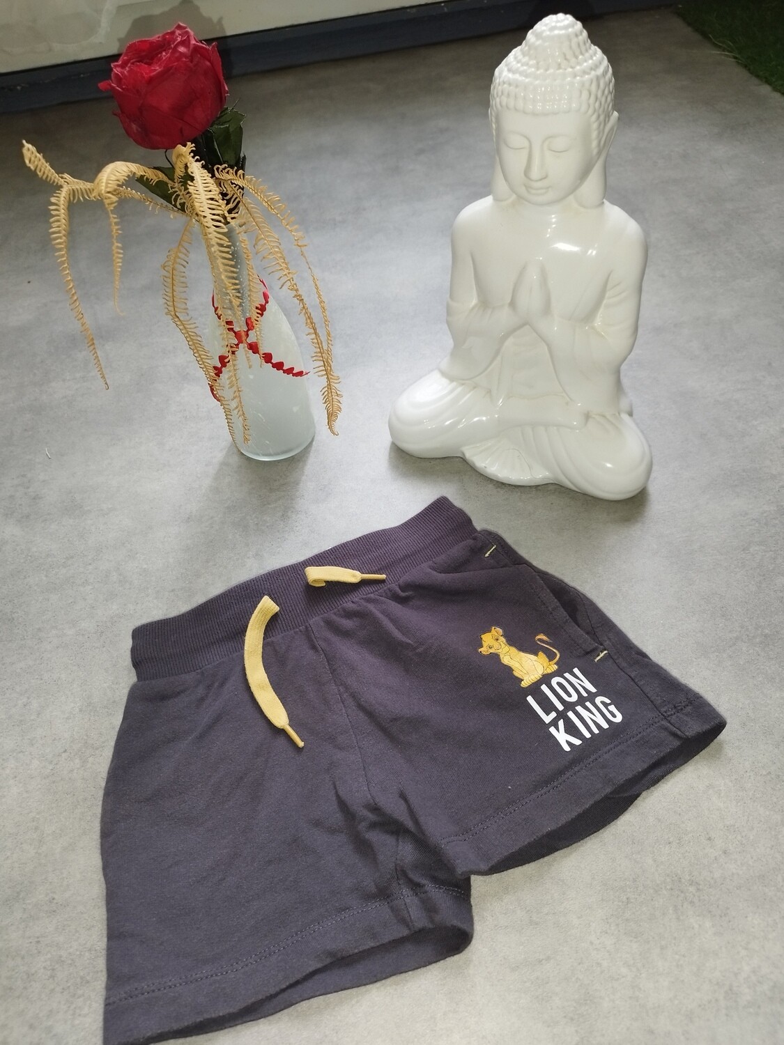 short roi lion T. 2 ans