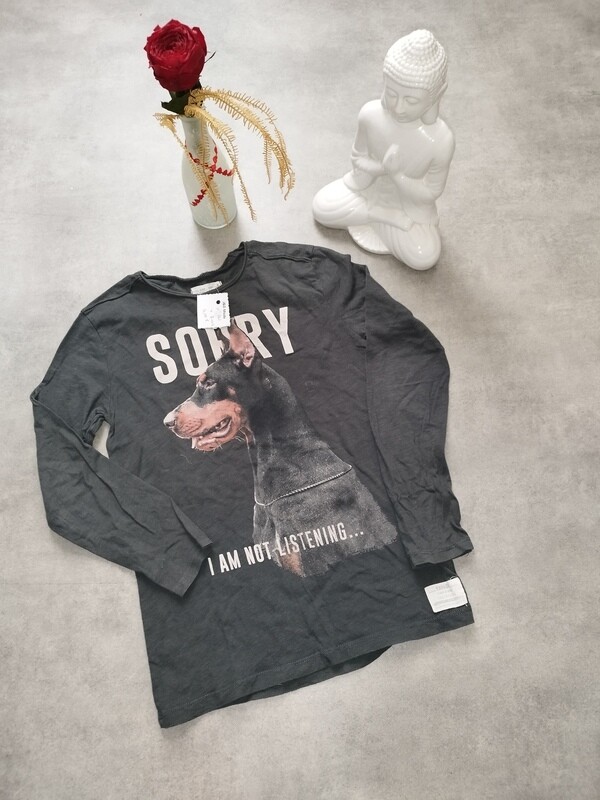 Tee-shirt manche longue gris dessin chien T. 8 ans
