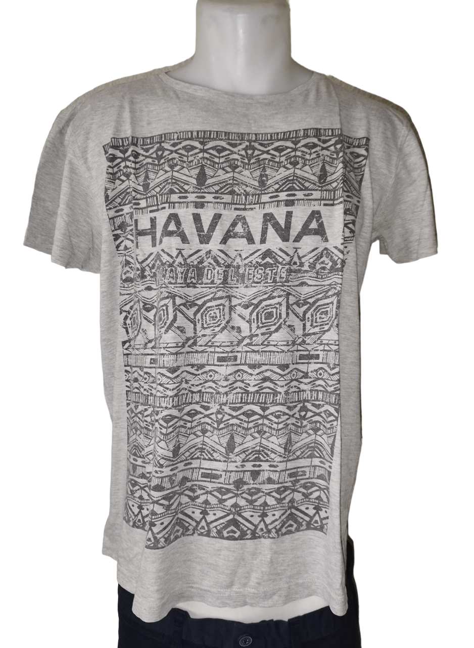 Tee-shirt gris homme T. L