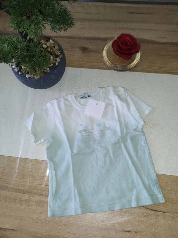 Tee-shirt dégradé vert T. 12 mois