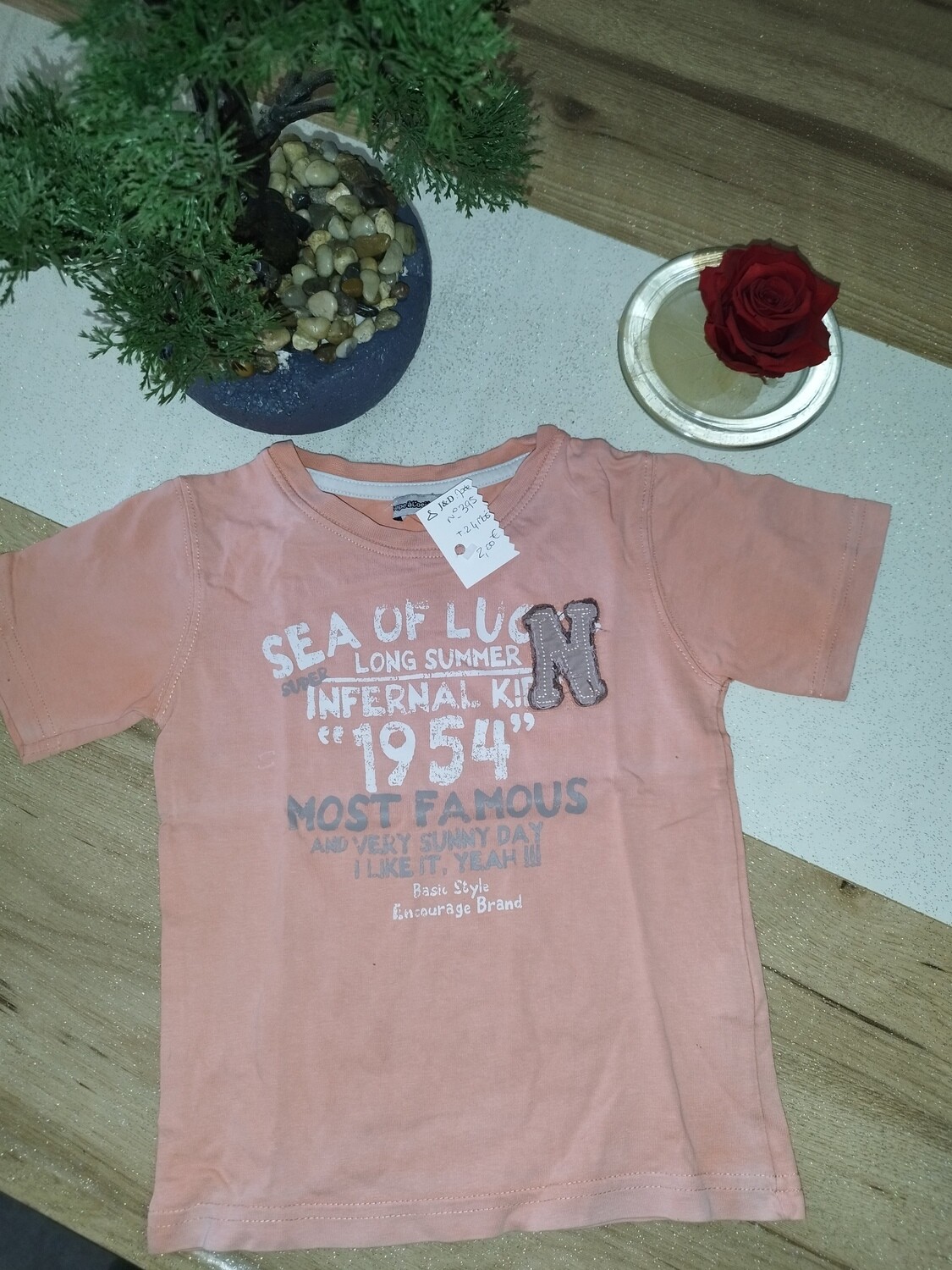 Tee-shirt manche courte saumon TAO T. 24 mois