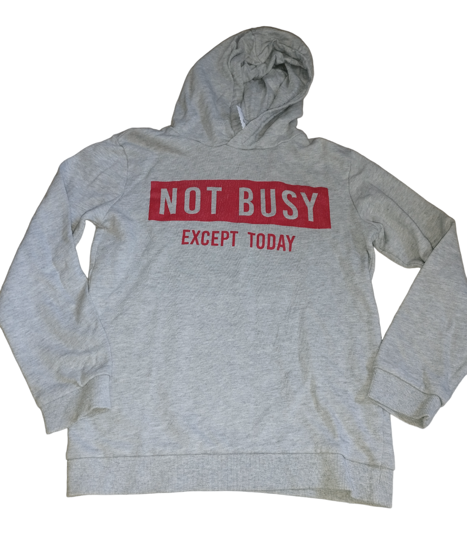 Pull gris capuche écriture rouge T. 12 ans