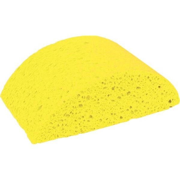 16587 TURTLE BACK SPONGE
