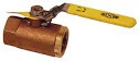 BBV50LV 1/2&#39; BRASS LOCKOUT SAFETY VENTING