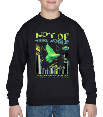 Not Of This World Sweater - Youth / Black