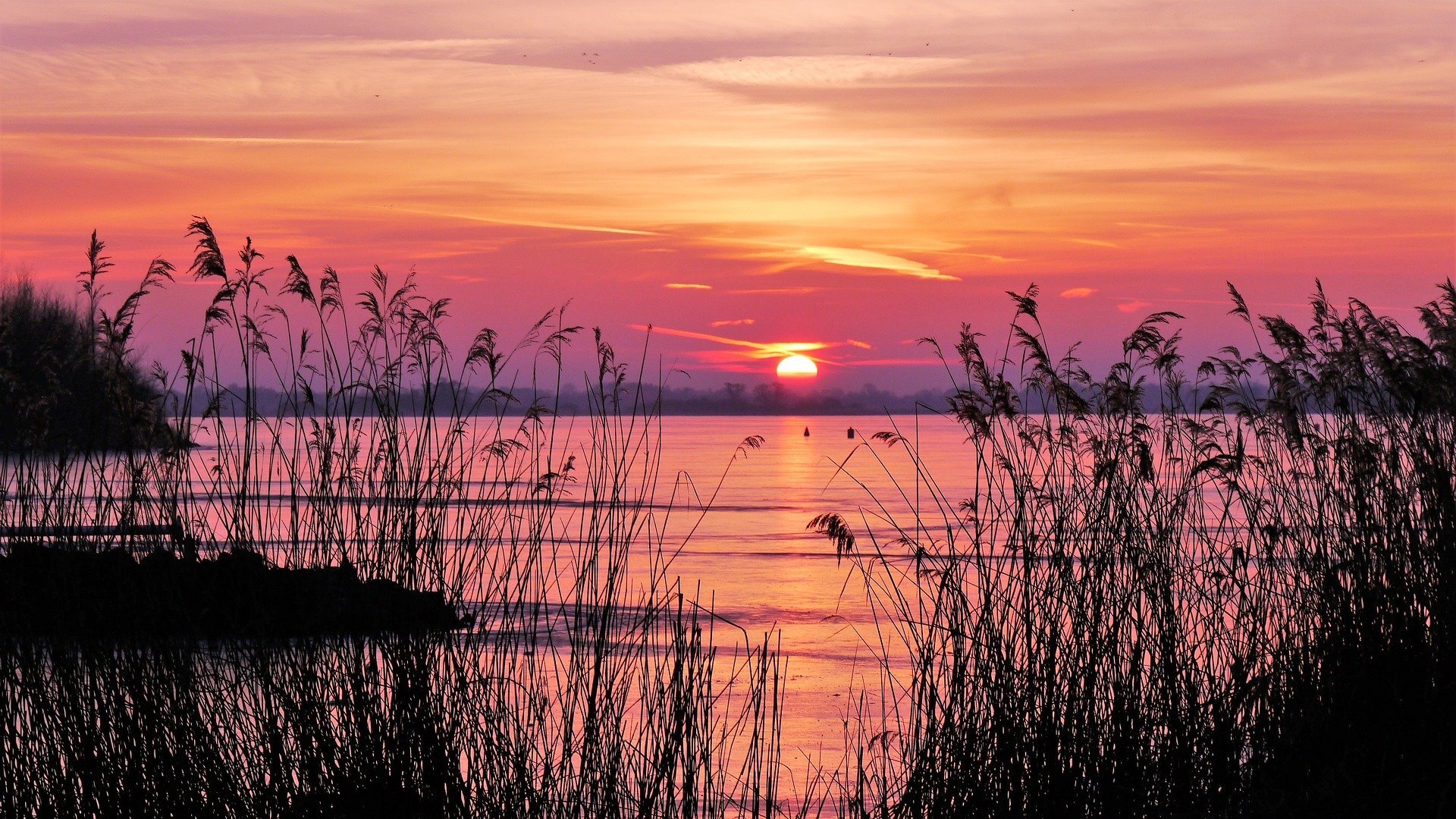 Natuurdag 3 juni:  Bewust Verbinden met de Omgeving