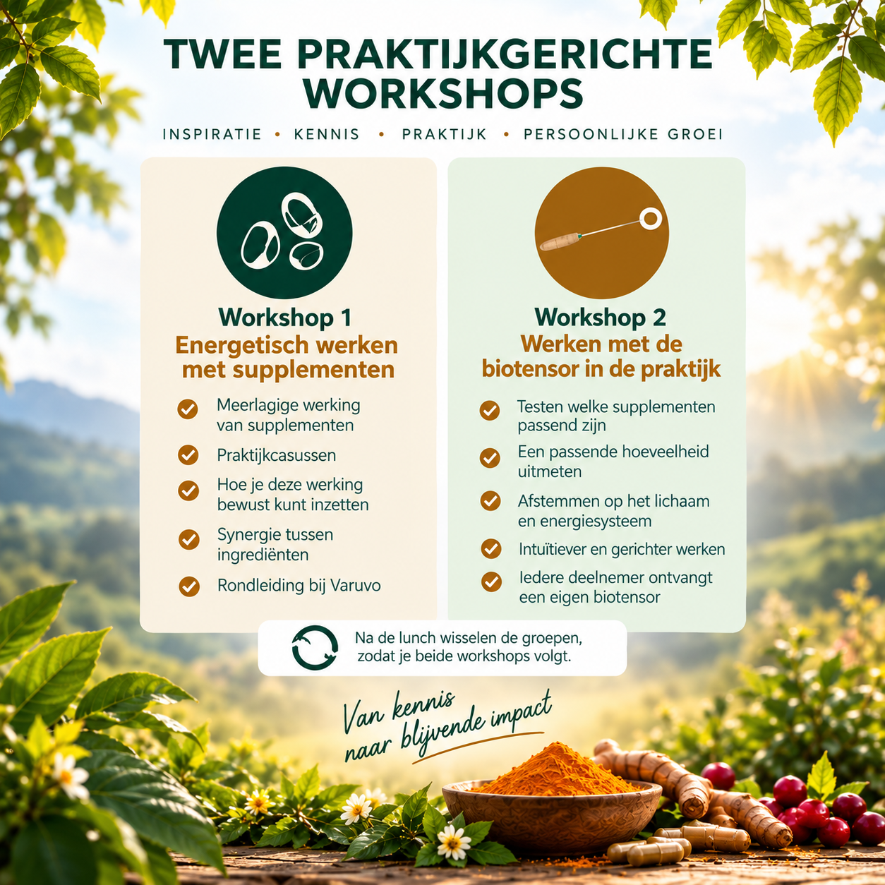 Lezing & Training: De kracht van supplementen – Fysiek, energetisch & intuïtief
