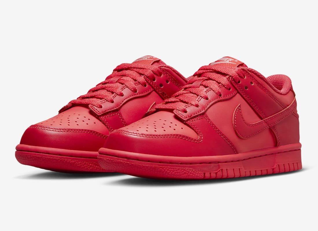 Nike Dunk Low GS Red Track