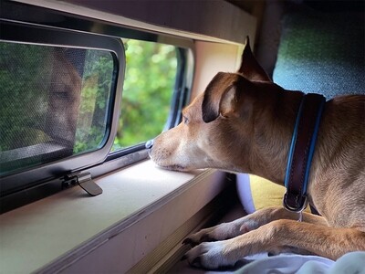 ​From Humble Beginnings to Campervan Conversion Sensation: Our Unbelievable Journey
