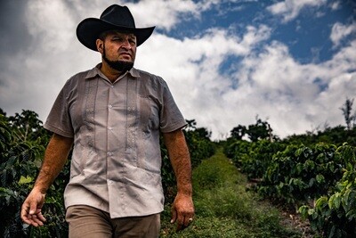 Exploring the Exquisite World of Kona Coffee