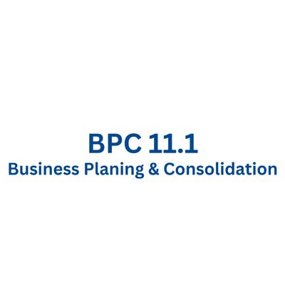 SAP BPC 11.1