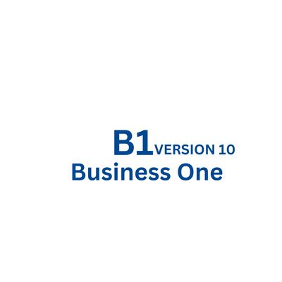 SAP BUSINESS ONE 10.0