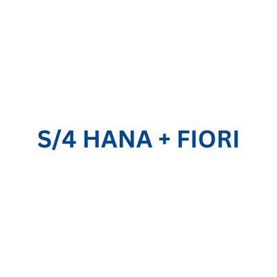 SAP S/4HANA 2023 FAA (IDES)