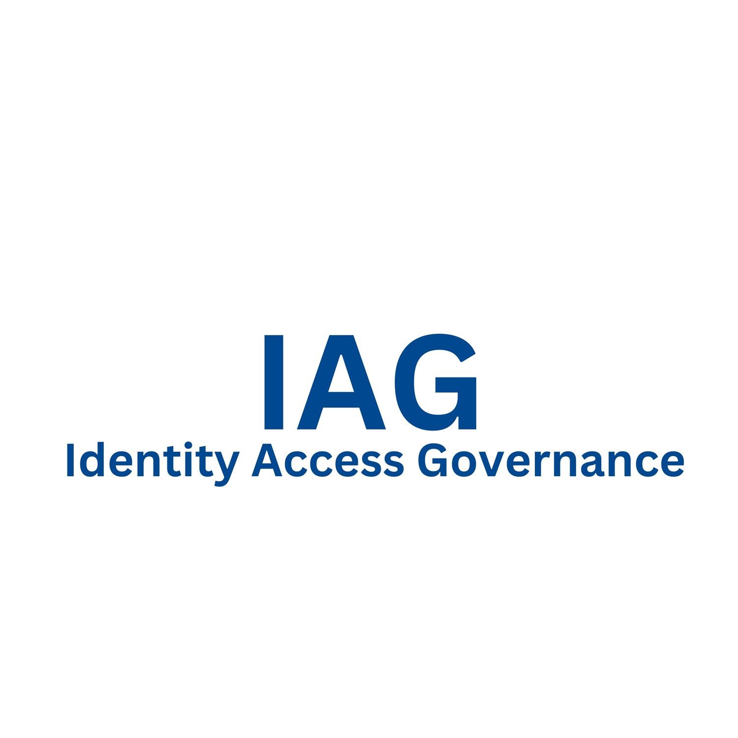 SAP IAG Training Server