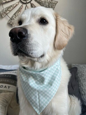 Minty Fresh