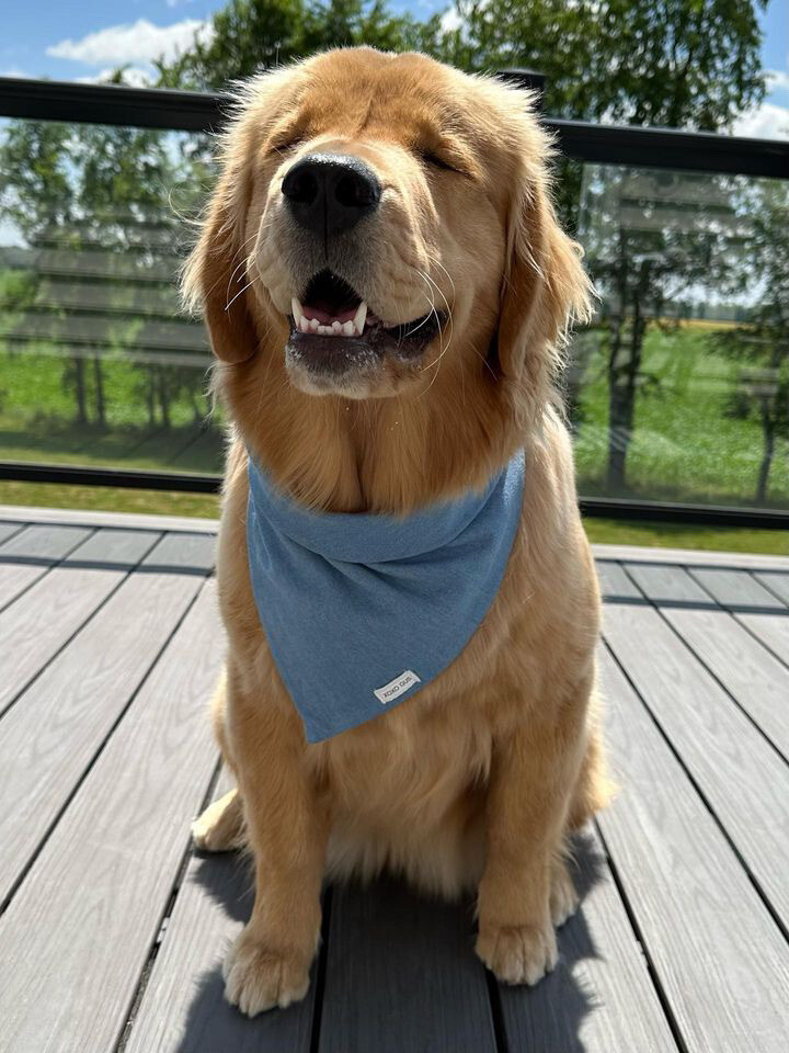 Chambray Blues