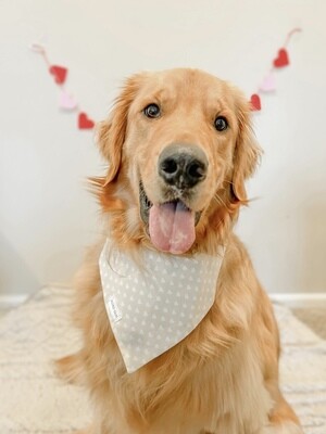 VDay Blues