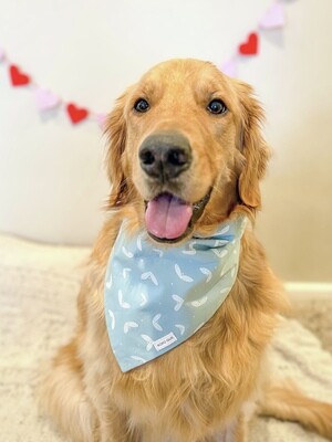 VDay Blues