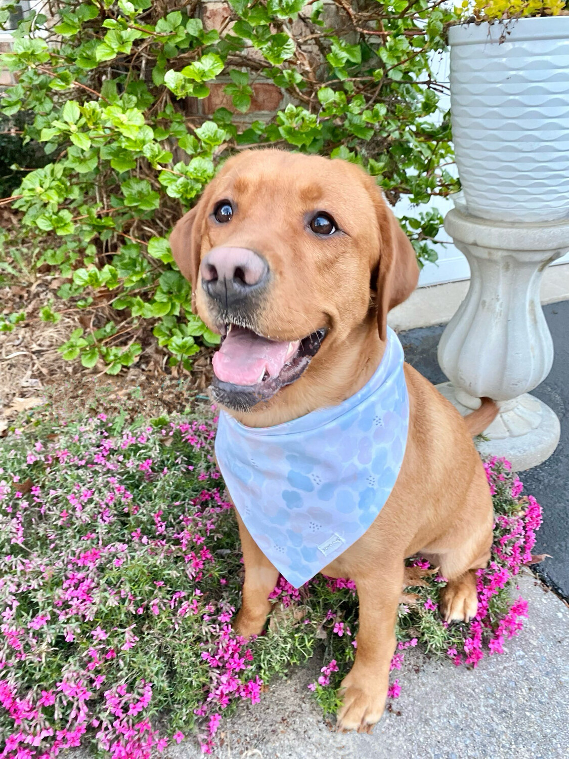 April Showers